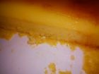 receta y postre: Flan de naranja embizcochado