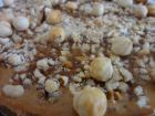 receta y postre: Tarta de caramelo con avellanas